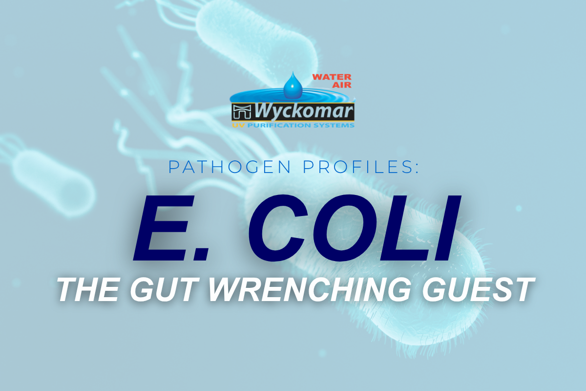 Pathogen Profiles: E. coli, The Gut-Wrenching Guest