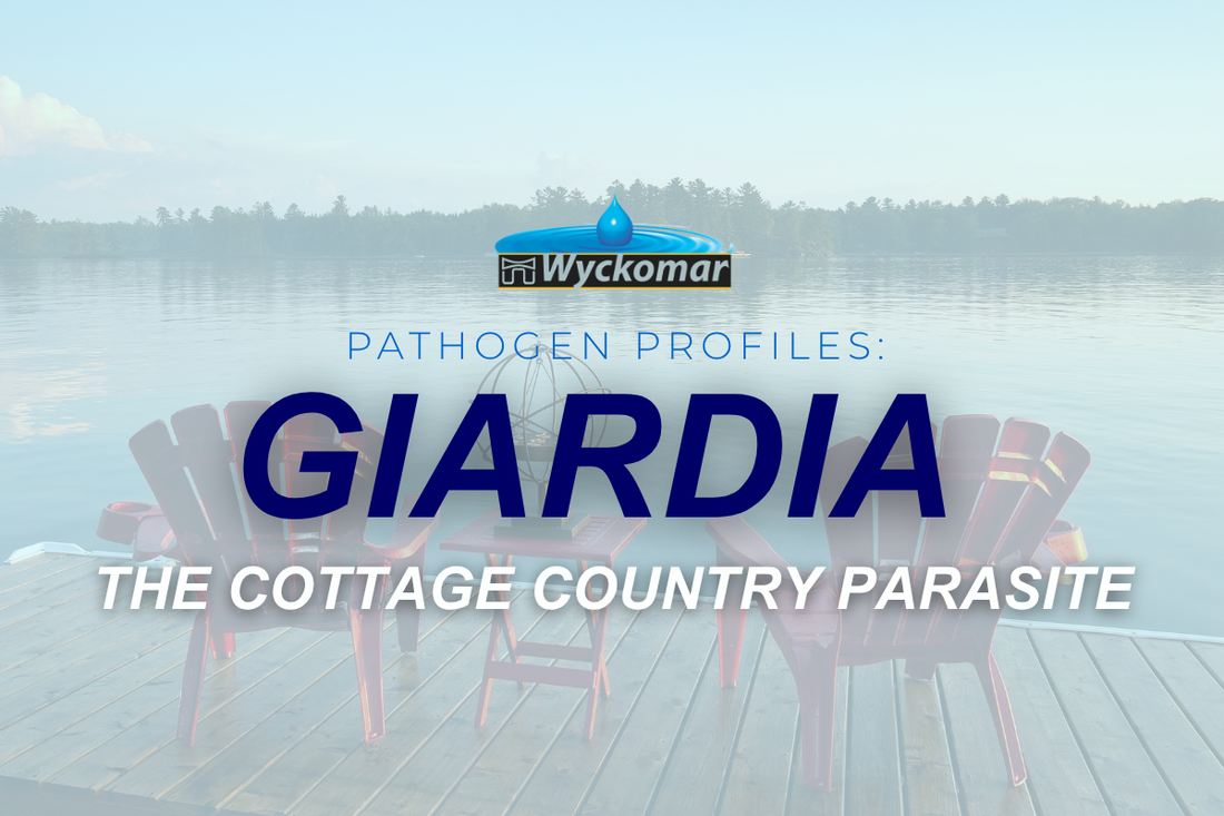 Pathogen Profiles: Giardia, The Cottage Country Parasite