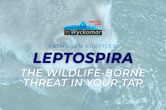 Pathogen Profiles: Leptospira, the Wildlife-Borne Threat in Your Tap