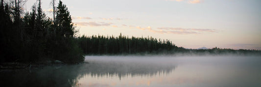 Water Treatment at the Cottage